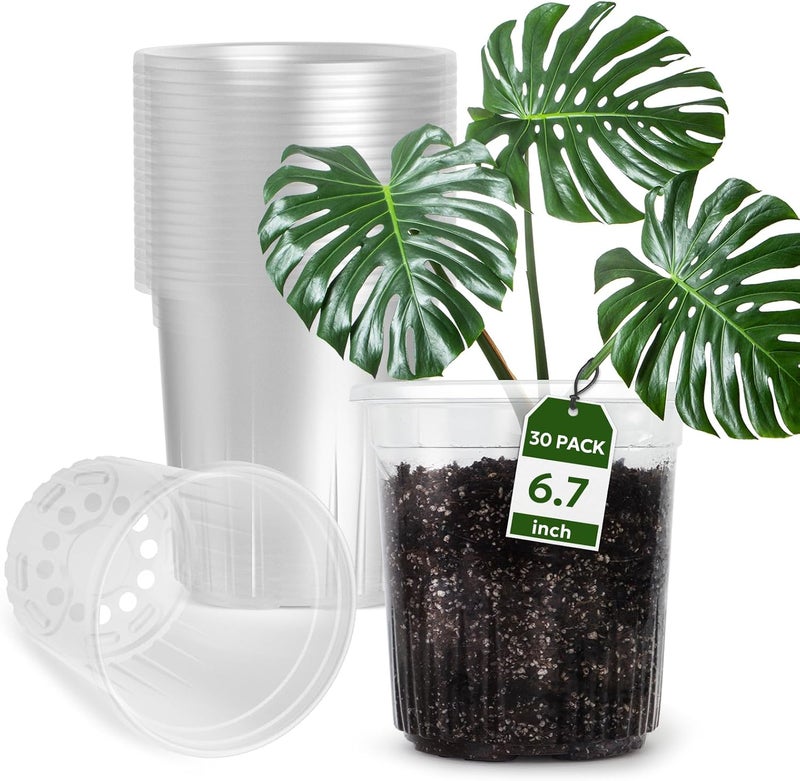 Bluepro 1 Gallon Reinforced Clear Nursery Pots with Drainage Hole, 30 Packs, 6.7 Inch Transparent Pots for Seedlings, Indoor/Outdoor Plants, Veggies, Flowers, and Professional Nursery Use - Image 1